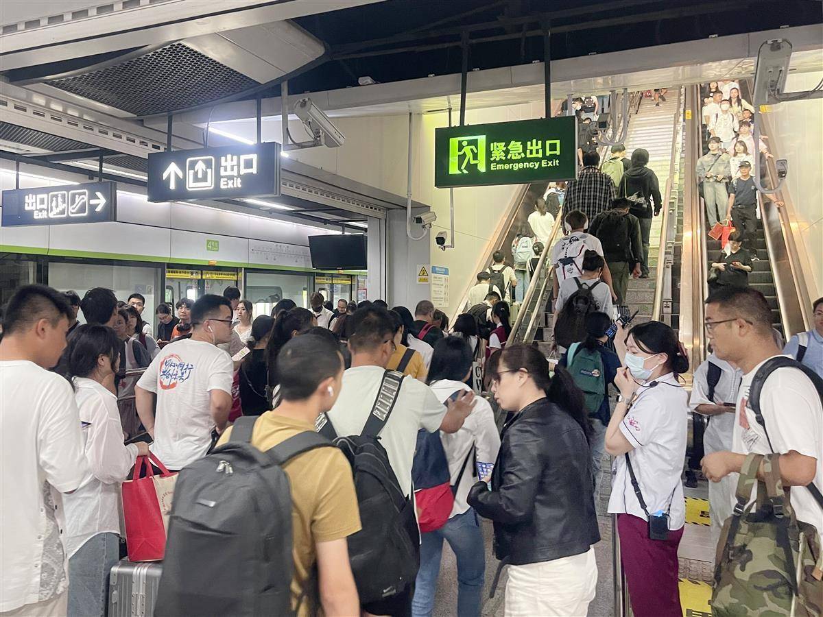 维多利亚vic115
